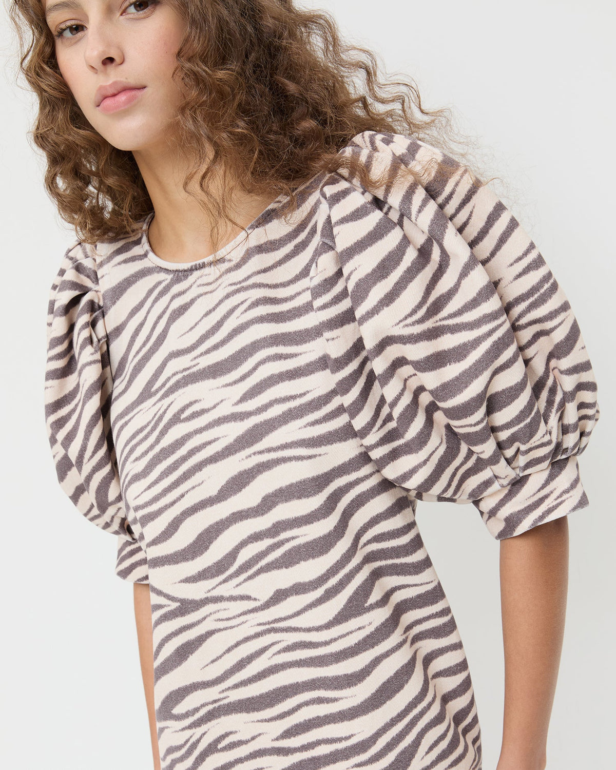 Willy Mini Dress
